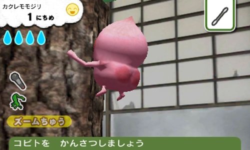 Amazon | こびとづかん こびと観察セット - 3DS | ゲームソフト