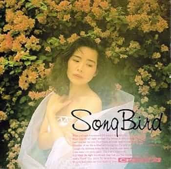Amazon.co.jp: SONG BIRD: ミュージック
