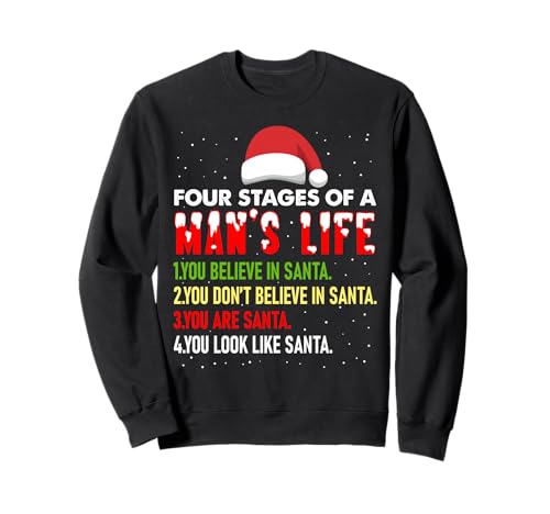4 Stages of Man Life Funny Santa Christmas Daddy To Be 2026 Sweatshirt