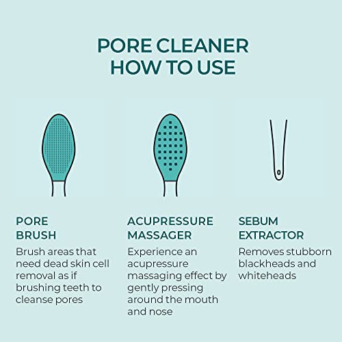 Scinic All Day Fine Pore Pack | Brush Like Brushing Teeth | Pore Cleaning Clay Pack | Treatment-Mask | Cleanses Clogged Pores, Smoothens Skin | K-Beauty… (Mint Paste 2.7 Fl.oz) #TOP5