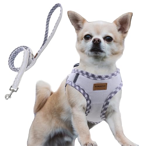 Aiminto �f�j�����p�n�[�l�X�����[�h�Z�b�g�A�ʋC���̍������b�V���f�ށA�y�ʁA�n�[�l�X�����ɔ��ˍޕt�� - �L�⒴���^���p (�n�[�l�X�ƃ��[�h���Z�b�g(�z���C�g), XXS���͈�28-32cm)