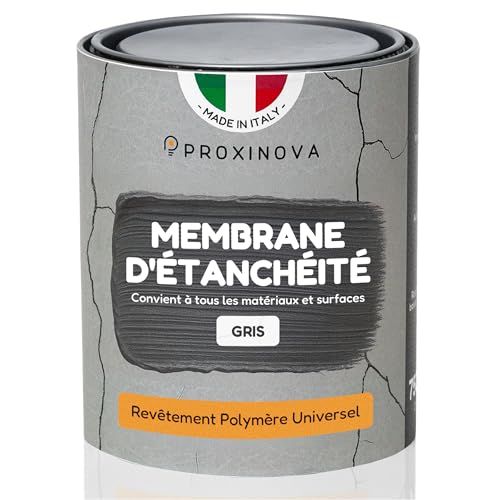 Produit Étanchéité Scellant Imperméable Liquide Gris 1 KG PROXINOVA - Résine Universelle Pour Toitures, Murs Extérieurs, Tuiles, Cheminées, Gouttières. Résistante UV, Répare Fuites, Facile à Appliquer