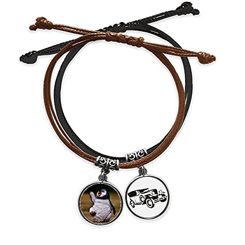 Geste science nature bracelet corde cadeau idéal passionnés d'animaux