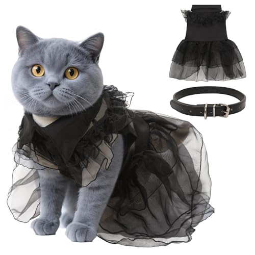 Disfraz para perro negro talla Medium elegante