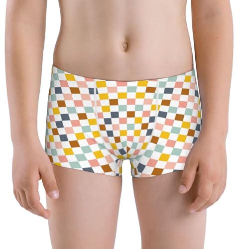 Boys' Cotton Boxer Brief Soft Underwear-Colorful Checkered