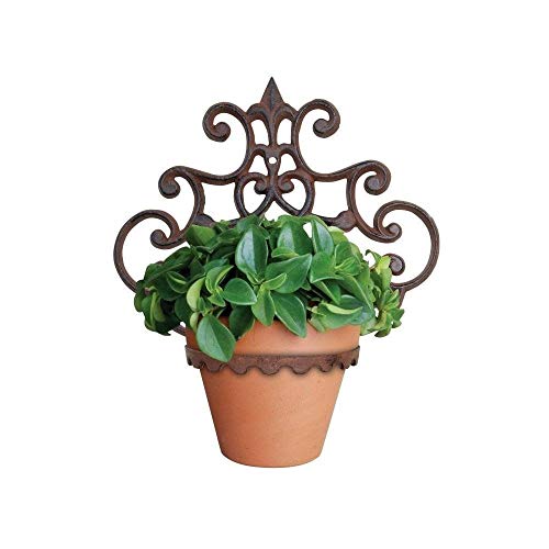 HOMESCAPES Patère murale extérieure porte pot de fleurs en fer forgé