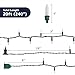 PREXTEX 100 Count Clear Christmas Lights - 20 ft Ultra Bright String Lights with Green Wire for Indoor and Outdoor Use, Christmas Trees, Holidays, Patios and Garden