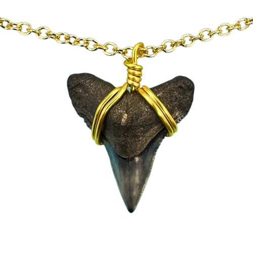 Real Gold Filled Shark Tooth Dainty Chain Necklace image