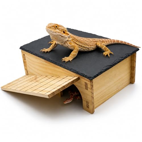 Slate Rock Basking Platform with Hideout Cave for Bearded Dragons and Reptiles
