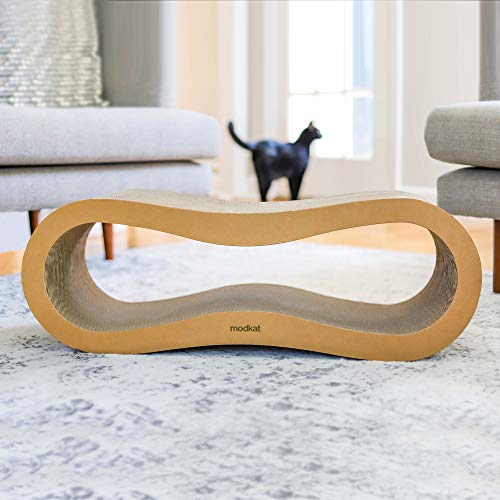 https://m.media-amazon.com/images/I/41fCMsrrdnL._SL500_.jpg