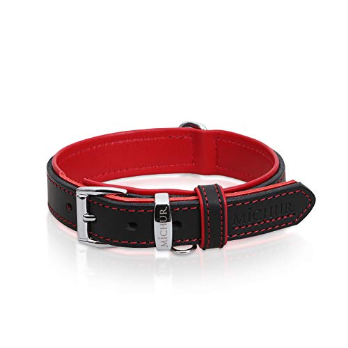 Enjoying Einziehbares Hundehalsband 2-in-1 - Integrierte Leine Für Kleine & Mittelgroße Hunde