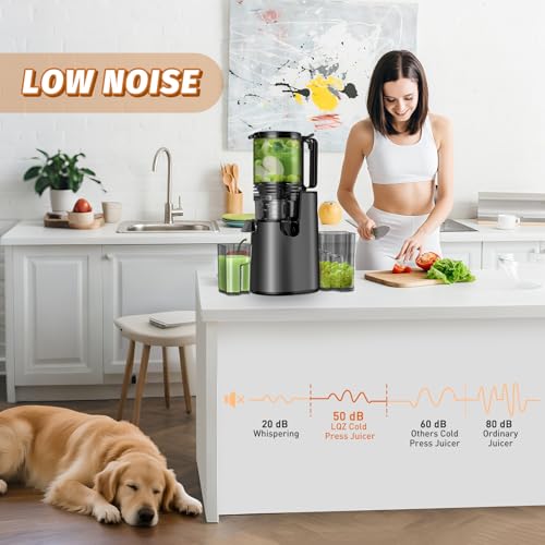 Cold Press Juicer, Masticating Juicer with 5.4" Wide Feed Chute, 350w Slow Juicer Machines Fit Whole Vegetables and Fruits with High Juice Yield, Easy to Clean (Black)