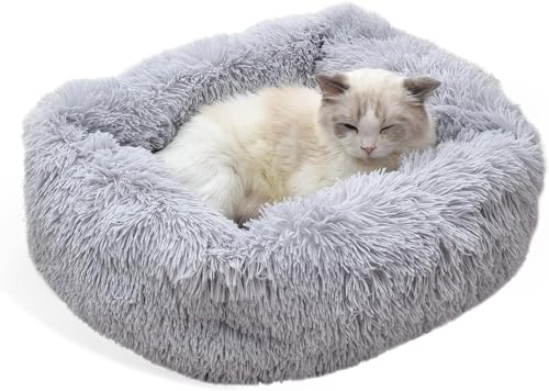bed tips on choosing the best mattress for you