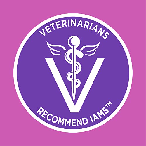 Bundle Of Iams Proactive Health Kitten Dry Cat Food, 16 Lb. Bag + Temptations Treats, Chicken, Salmon & Dairy, 4-Pack (6.3 Oz Per Pack) #TOP4