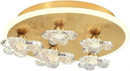 Plafonnier de couloir LED à économie d'énergie avec diffuseur floral acrylique anti-éblouissement