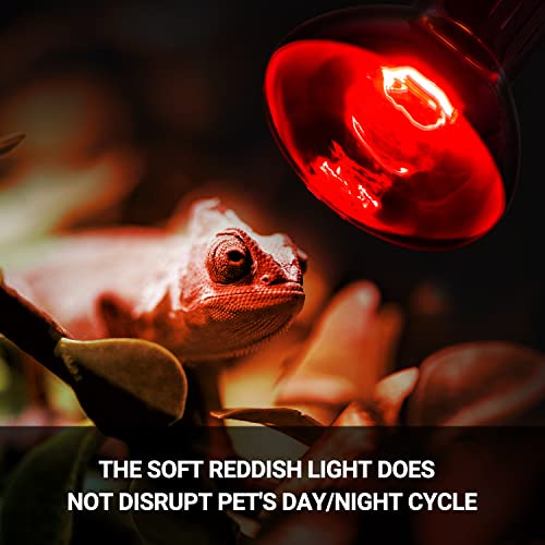 Reptizoo 75W Reptile Heat Lamp Bulb, 2Pcs Day & Night Basking Spot Light Combo Pack Includes Infrared Heat Lamp And Uva Daylight Heating Lamp Basking Light thumb #5