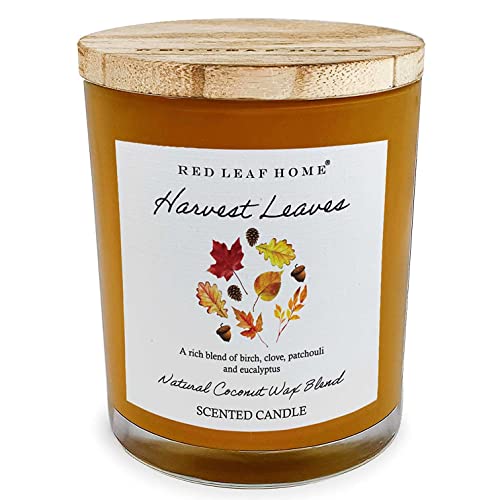 Red Leaf Home | Harvest Leaves Candle | Wooden Lid, Large | Fall Favorite, Aromatherapy, Gift | 15Oz Jar #TOP22