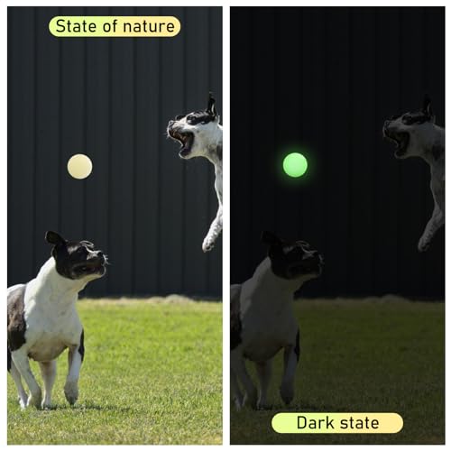 GBKDQQ 6 Stück Glow In The Dark Hundeball, 6cm Leuchtende Gummi-Hundebälle Unzerstörbar Hundeball, Hund Interaktive Hund Ball mit hoher Sprungkraft für kleine, mittlere und große Hunde