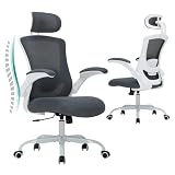 COLAMY Sedia da ufficio ergonomica, in rete con poggiatesta regolabile, sedia direzionale da ufficio con supporto lombare, chiusura inclinabile regolabile, colore: grigio