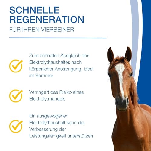 NutriLabs Nutrilytes Basic Elektrolyte für Pferde, geeignet für Freizeitpferde zum Ausgleich des Elektrolythaushaltes bei mäßigem Schwitzen, 1 L