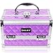 SHANY Chic Makeup Train Case Cosmetic Box Portable Makeup Case Cosmetics Beauty Organizer Jewelry storage with Locks, Multi trays Makeup Storage Box with Makeup Mirror - Purple