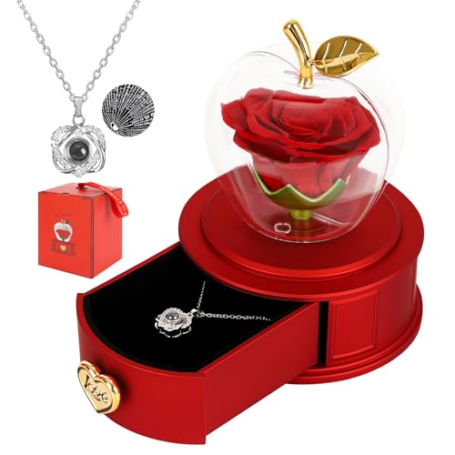 minstely Women Gifts for Christmas - Apple-Shaped Preserved Real Rose Box with I Love You Necklace, Forever Love Eternal Flower Gifts for Her on Birthday,Anniversary,Valentine's Day - Red