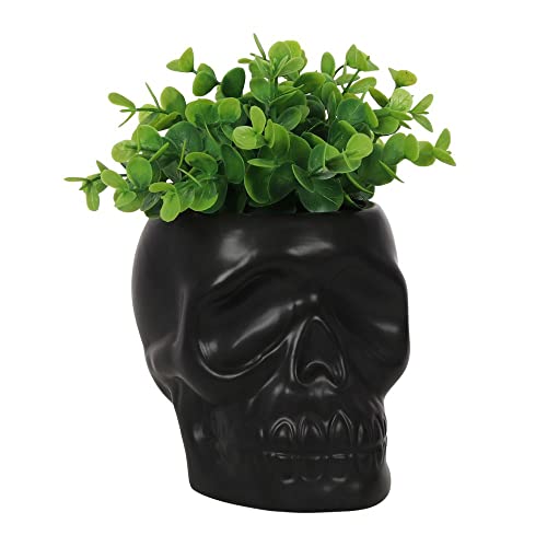 Botega Exclusive Ceramic Skull Indoor Garden Planter, Matte Black 4.75”