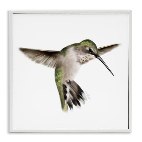 Green Hummingbird Nature Bird, 12 x 12 Inch Framed Giclée Print