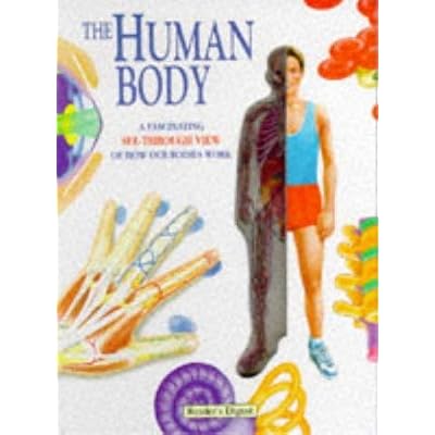 The Human Body