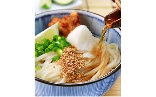 [定期便]本場純生讃岐うどん 10人前つゆ付 年3回発送(1月・5月・9月)[H-47]