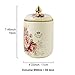 fanquare Porcelain Tea Canister, Normal Size Ceramic Jar, Vintage Gold Floral Countertop Container for Sugar, Tea, Coffee