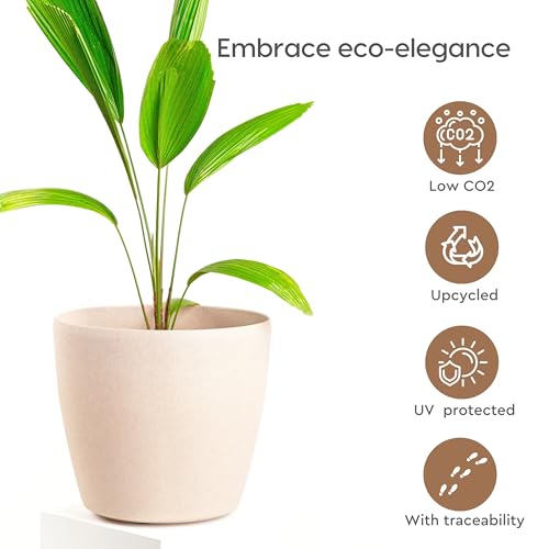 Product Variant View