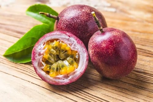 10 Semillas de Fruta de la Pasión Púrpura – Passiflora edulis - Fruto Tropical - Jardín - 347