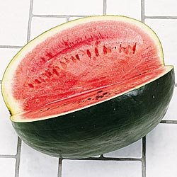 Watermelon Black Diamond Great Heirloom Seeds