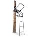 Guide Gear 16' Deluxe Ladder Tree Stand