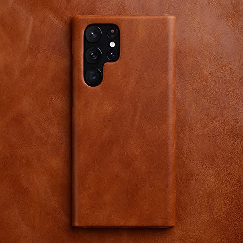 Étui en cuir véritable pour Samsung Galaxy S22 Plus 5G coque luxe