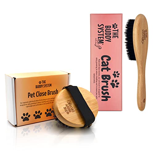 The Buddy System Cat Brush with Boar Bristle and Pet Close Brush, Soft Touch Oval Palm Brush for Dogs and Cats