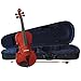 Cervini HV-100 Novice Violin Outfit - 4/4 Size