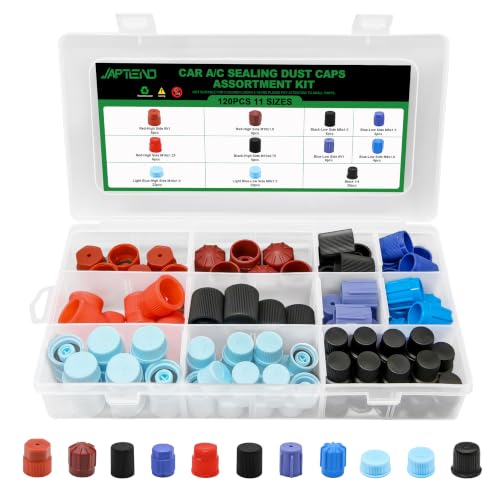 Japtend 120PCS A/C Dust Cap Kit