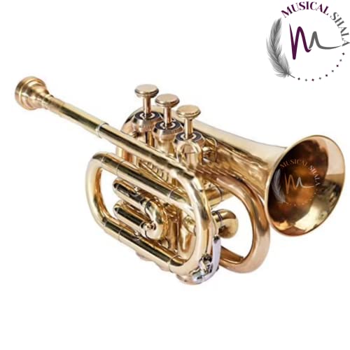 Musical Shala Bb Pocket Trumpet Brass Finish Musical Instruments Best For Begineer, Intermediate Or Advanced With Free Hard Case, Mouthpiece, Spring Set, Pair Of Gloves (Brass) #TOP2