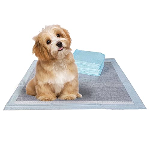 Image of BV Charcoal Puppy Pads 100 Count 22 inchx22 inch - Leak-Proof Pee Pads for Dogs with 6-Layer Absorbent Design & Built-in Attractant - Dog Pad with Charcoal for Odor Control, Perfect for Puppies & Senior Dogs