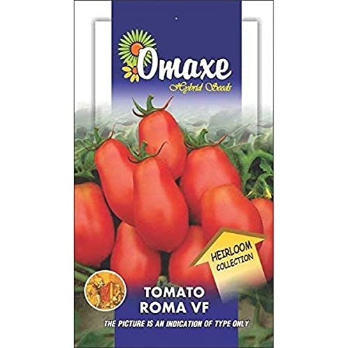 Omaxe Seeds Tomato Roma Vf Herloom, 30 Seeds (Multicolor, Pack of 3) (B00LC0N8FG) Amazon Price History, Amazon Price Tracker