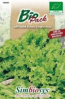 Semi di sedano da piantare