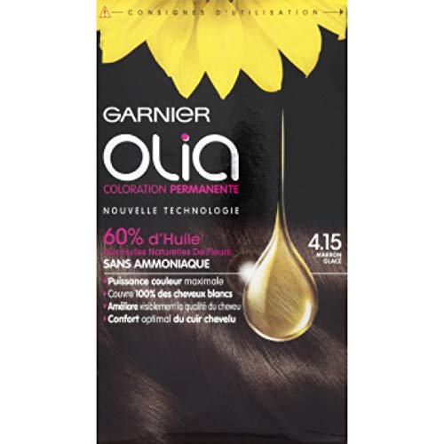 Garnier Olia 4.15 Permanent Hair Colour Pack of 2 120 g Iced Brown