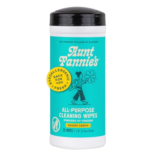 Aunt Fannie's bathroom cleaning wipe