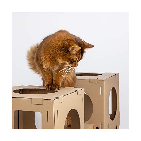 Navaris modular cardboard cat house - diy corrugated cardboard configurable play tower condo for small cats, kittens, rabbits - 4 cubes with 2 bridges - image 10
