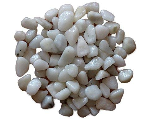 Rajasthani 2Kg White Color Polished Marble Pebbles For Aquarium Substrate Garden Decor Plant Gravel Stone Pebble Chips (B06XXMM4DH) Amazon Price History, Amazon Price Tracker