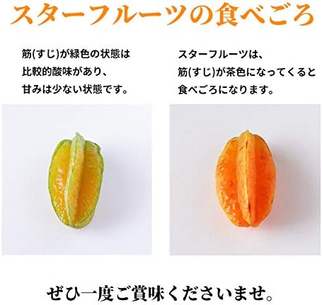 Amazon 沖縄県産スターフルーツ 星の形をしたフルーツ 沖縄琉堂 1 4玉 9玉 Okinawa 沖縄旬青果 Seasonal Fruit スターフルーツ 通販