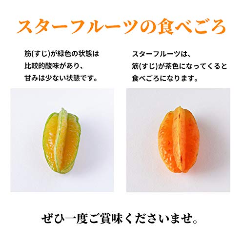 Amazon.co.jp: 沖縄県産スターフルーツ (星の形をしたフルーツ) 沖縄琉