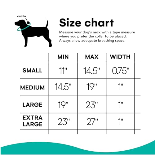 Black Rhino - Das Comfort Halsband Super Weiches Neopren Gepostertes Hundehalsband für alle Hunderassen - Hochbeanspruchbar Verstellbar Reflektierend Wetterfest (Mittel, Aqua/Grau)
